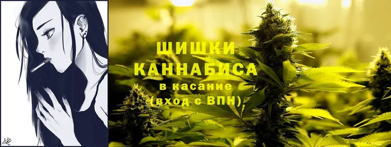 Каннабис Amnesia  где продают наркотики  Шенкурск 